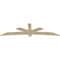 Ekena Millwork Alberta Rough Sawn Timber Gable Bracket, Douglas Fir, 108"W x 31 1/2"H x 2"D x 6"F, 7/12 Pitch GBW108X31X0206ALB00RDF - alternate 3